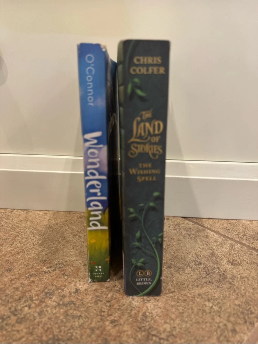 Wonderland Children's Book & The Land of Stories